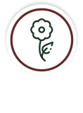 Floricultura Casa Flor - 